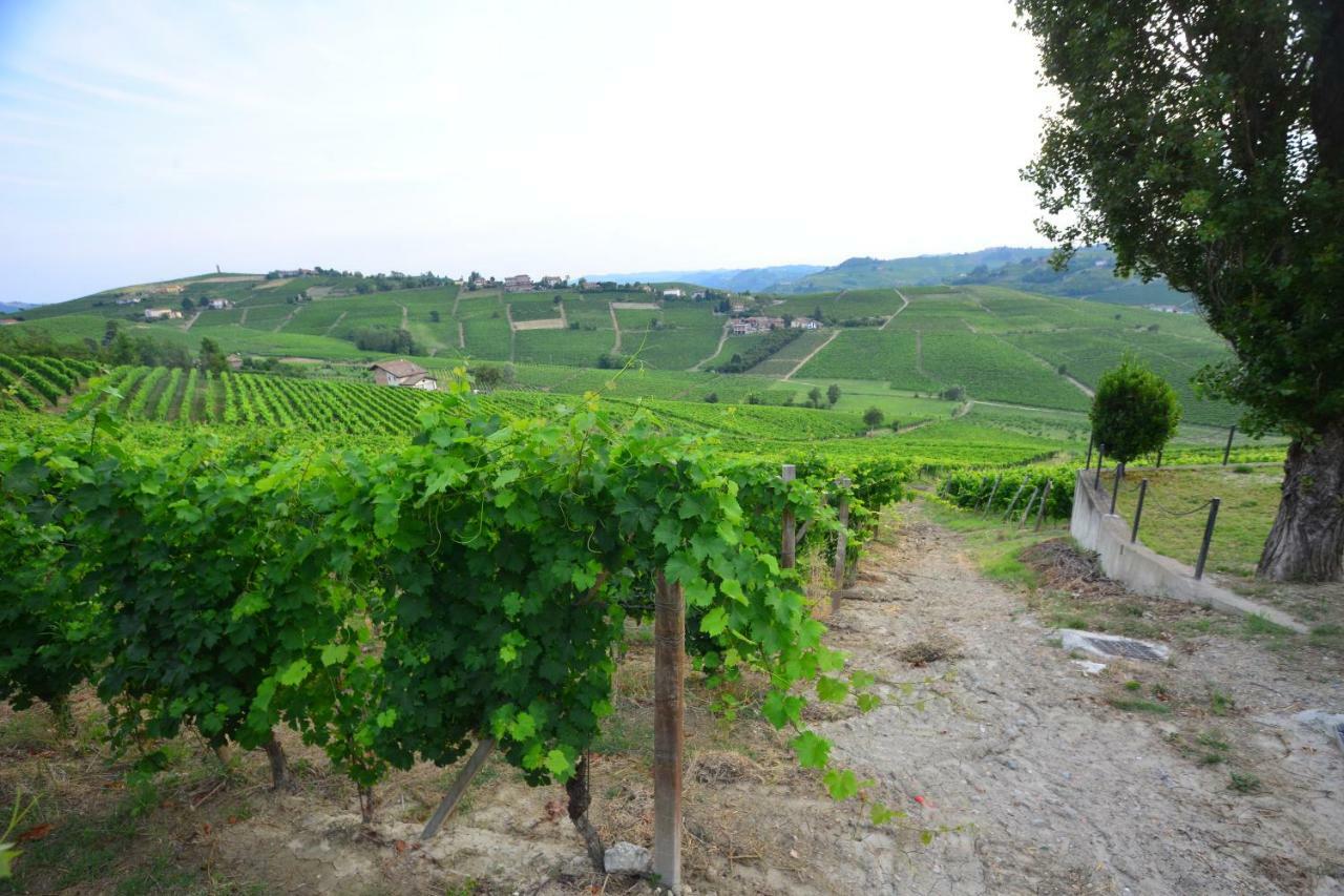 Villa I Grappoli Canelli Esterno foto